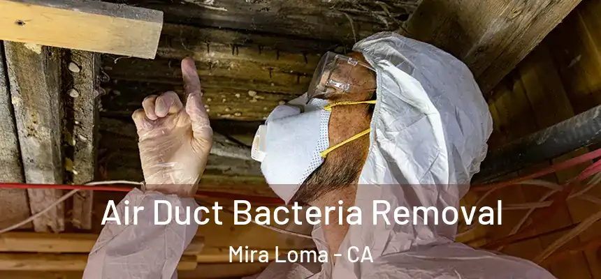  Air Duct Bacteria Removal Mira Loma - CA