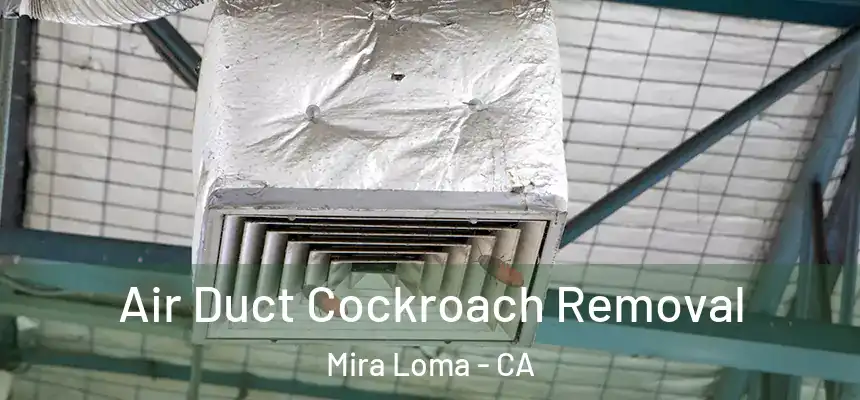  Air Duct Cockroach Removal Mira Loma - CA