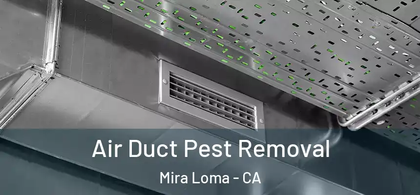 Air Duct Pest Removal Mira Loma - CA