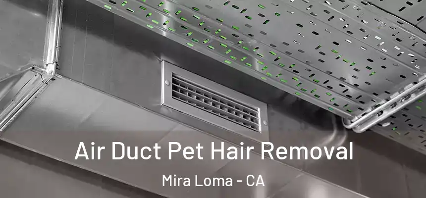  Air Duct Pet Hair Removal Mira Loma - CA