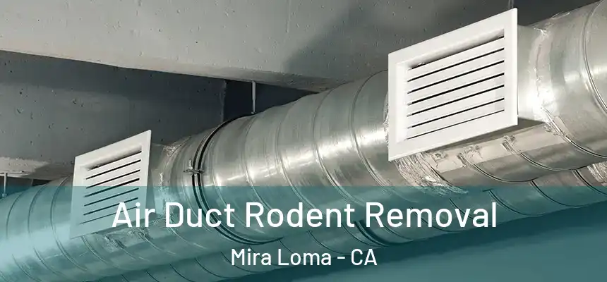 Air Duct Rodent Removal Mira Loma - CA