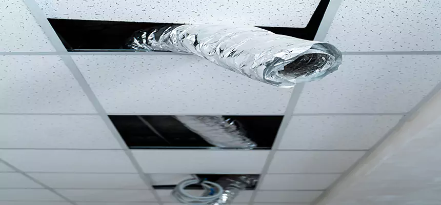 Our Air Duct Pet Hair Removal Services in Mira Loma, CA