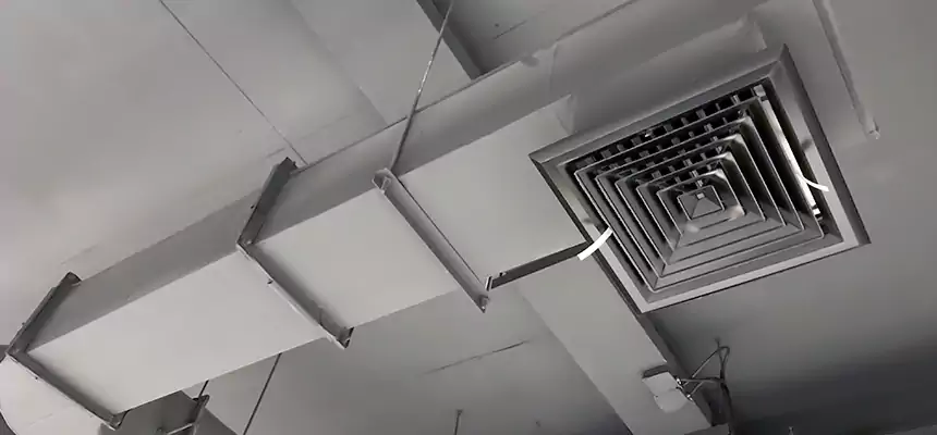 Our Pest Removal From Ducts Services in Mira Loma, CA