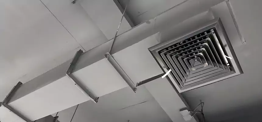 Our Rodent Droppings In Vents Services in Mira Loma, CA