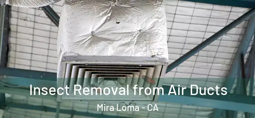 Insect Removal from Air Ducts Mira Loma - CA