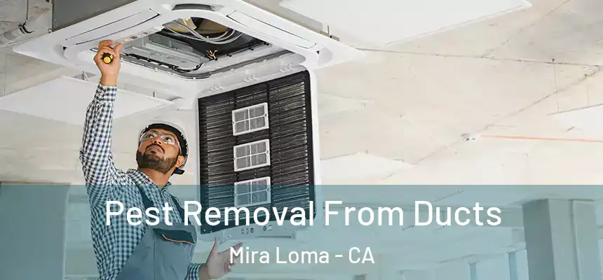  Pest Removal From Ducts Mira Loma - CA