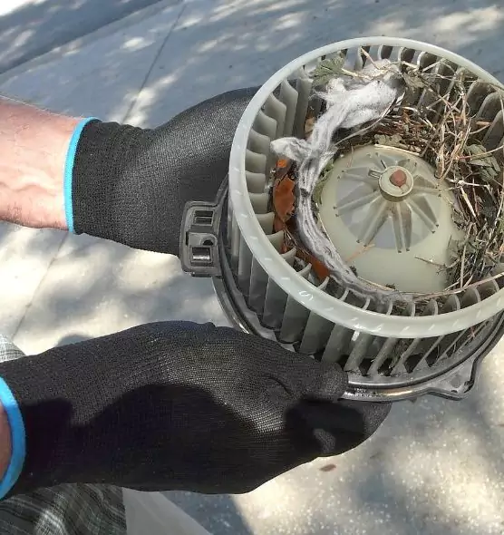 About Air Duct Mice Removal in Mira Loma, CA