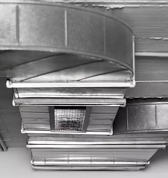 Professional Air Duct Pest Removal in Mira Loma, CA