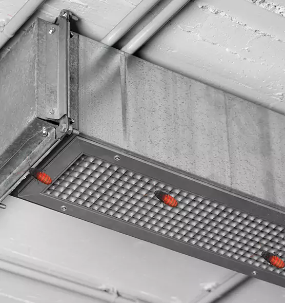 Affordable Insect Removal from Air Ducts in Mira Loma, CA