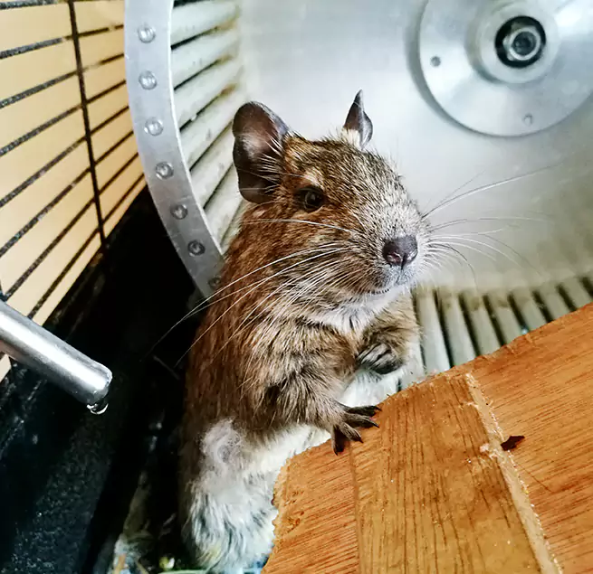 Why Homeowners & Businesses Trust Us Mira Loma, CA?