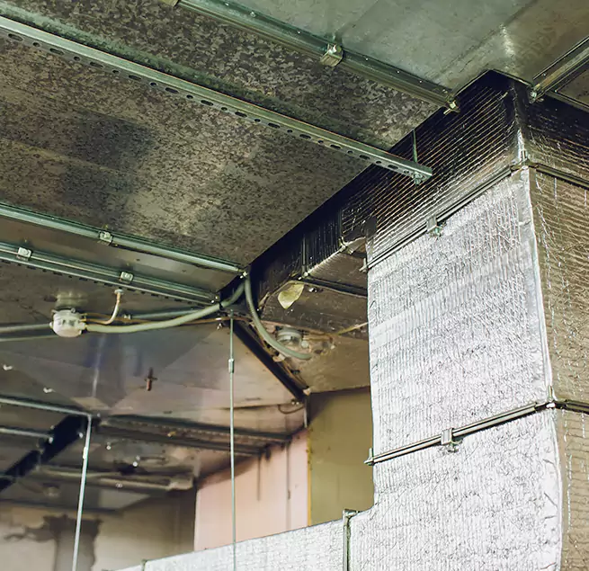 Why Homeowners & Businesses Trust Us in Mira Loma, CA?